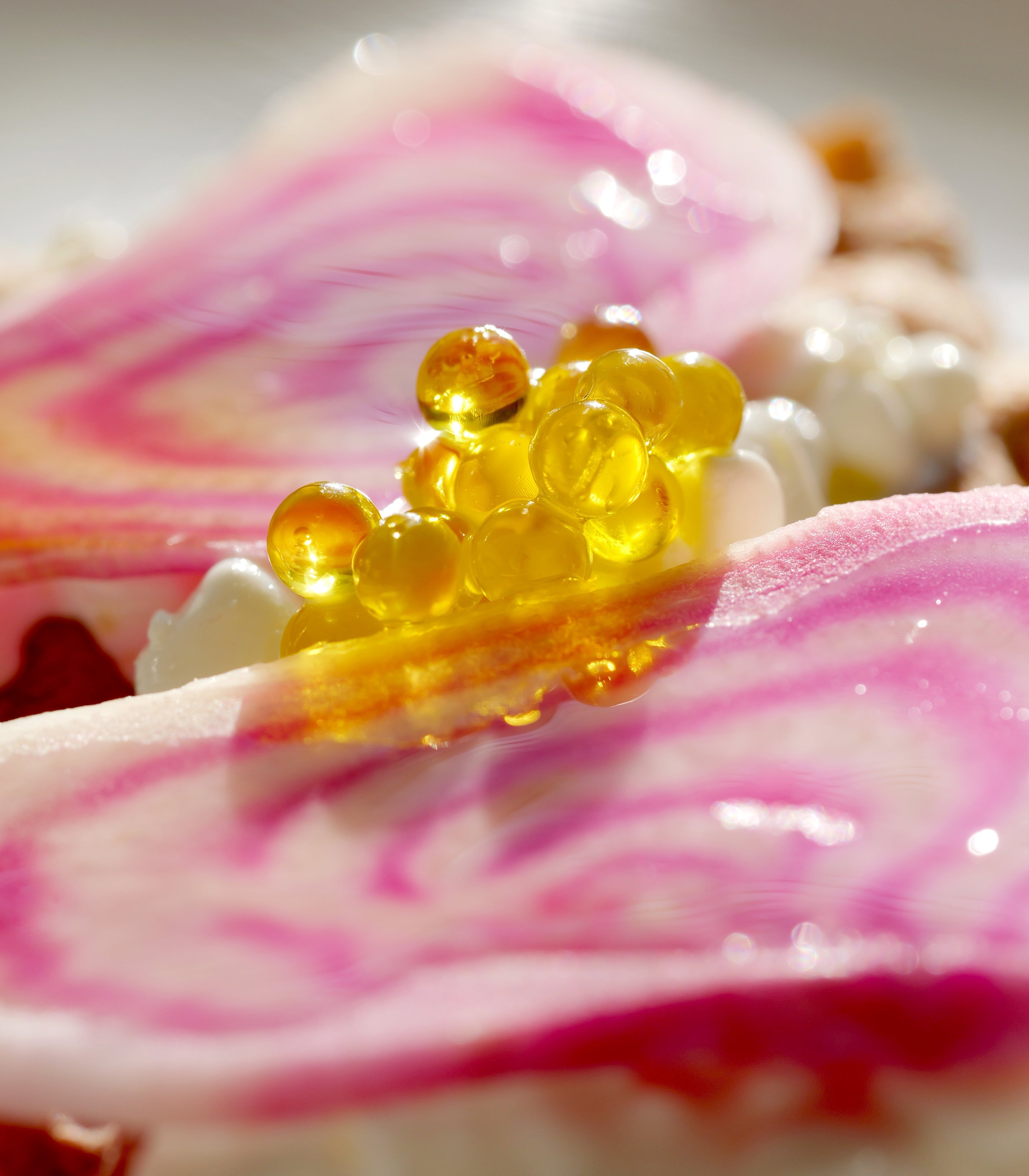 Gaufrette croustillante, crème acidulée et betterave chioggia