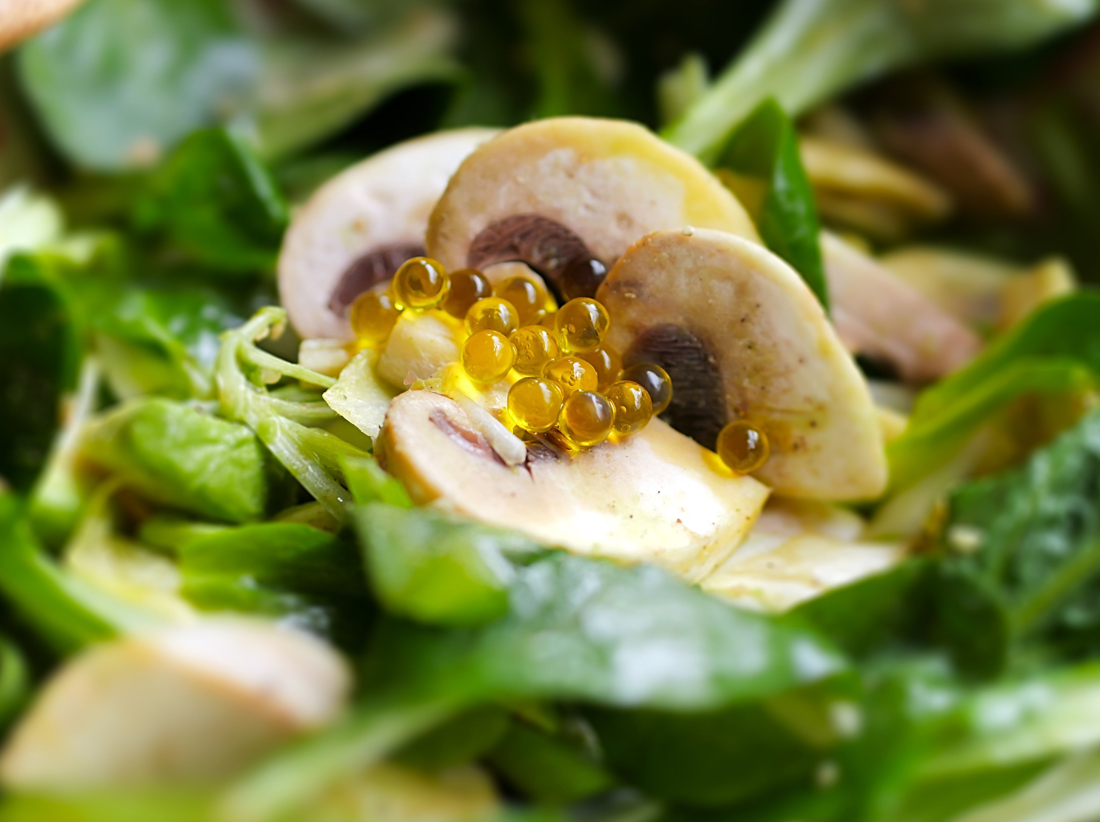 Salade de jeunes pousses et champignons crus