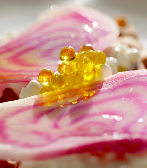 Gaufrette croustillante, crème acidulée, betterave chioggia et perles d'huile d'olive